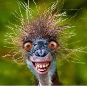 Meet your Posher, Sharon